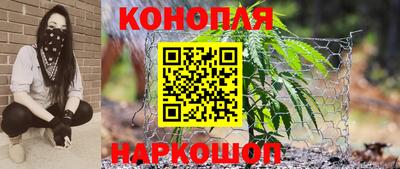 дживик Шебекино