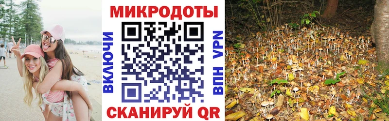 blacksprut рабочий сайт  сколько стоит  Южноуральск  Галлюциногенные грибы прущие грибы 