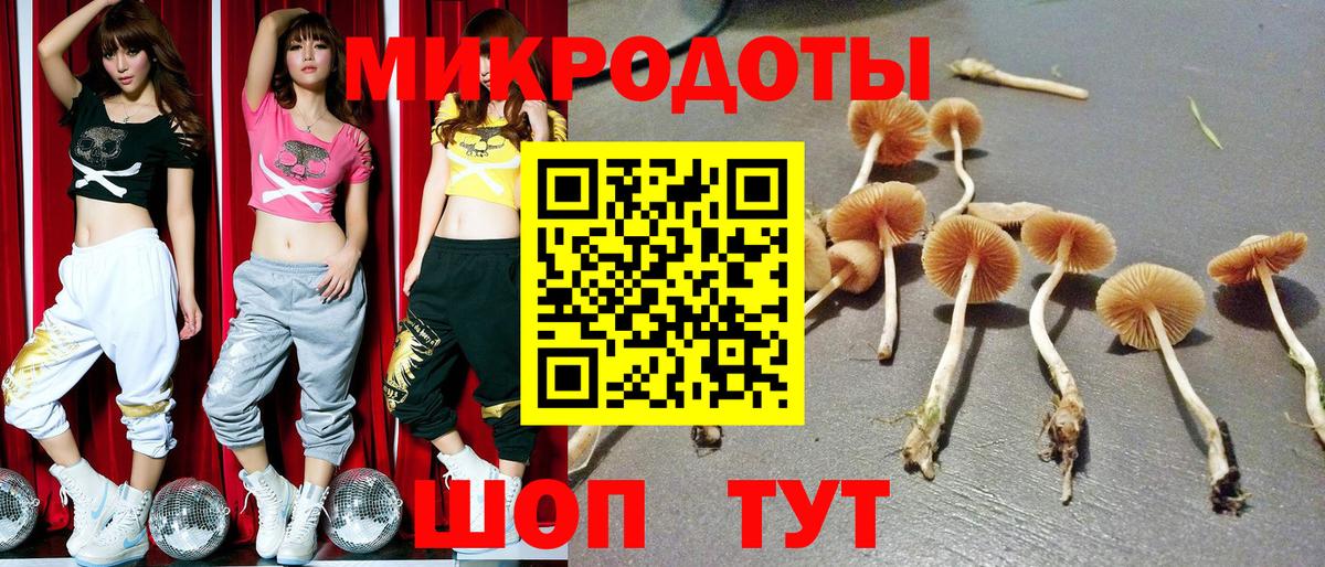 Южноуральск  Галлюциногенные грибы мухоморы  Галлюциногенные грибы ЛСД  Вход с VPN 